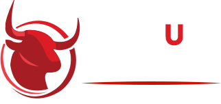 Big Bull Movers