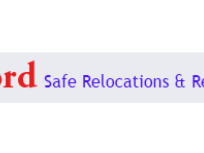 Sydney Safe Removals